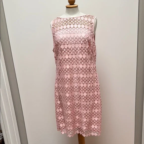 Elegant Pink Lace Dress - Picture 1 of 6